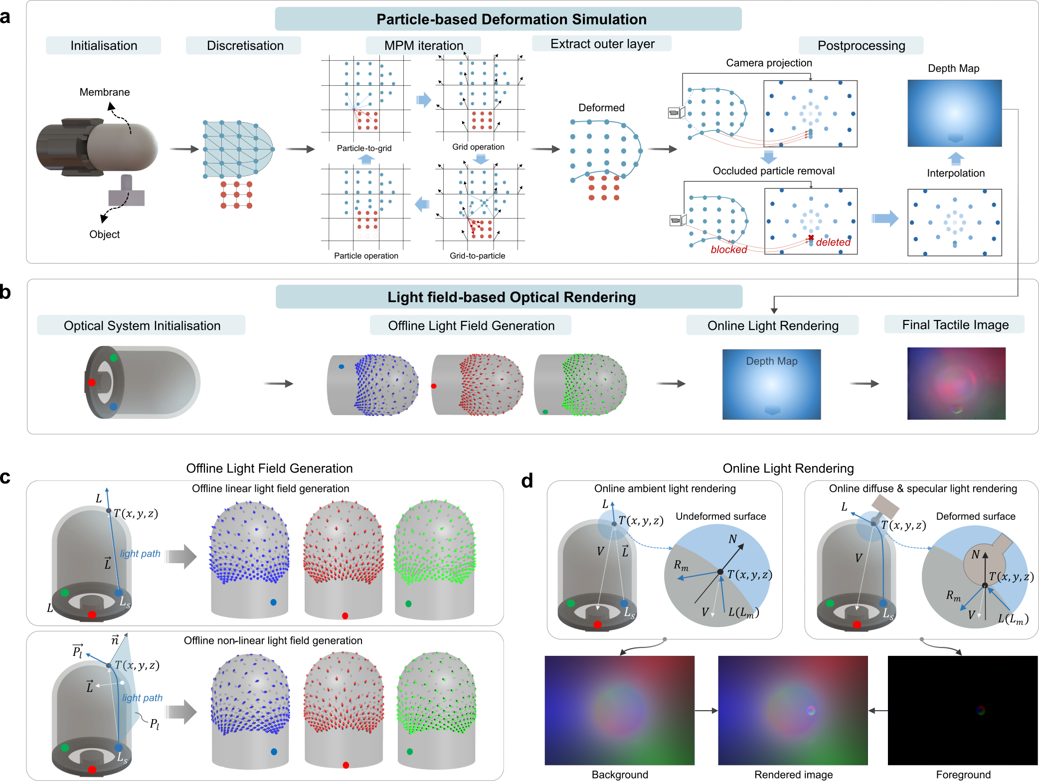 Deformation and Rendering
